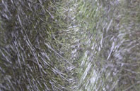 Overstone fibreglass roof work